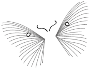 Siegel des Eichenspinner-Verlags